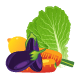 VEGETABLES <br/> سبزی و صیفی